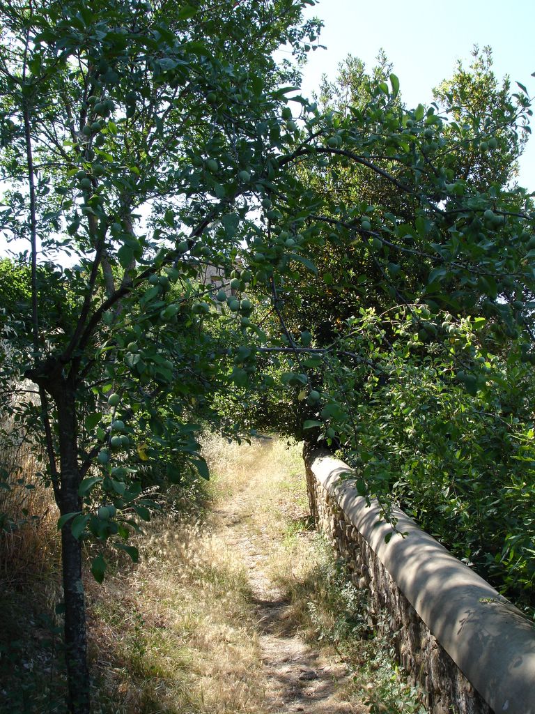 Foto sito archeologico Tomba dell&rsquo;Arciere