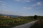 Road and rural buildings - Mercatale Val di Pesa
