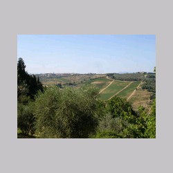 bibbione_dsc02193.jpg