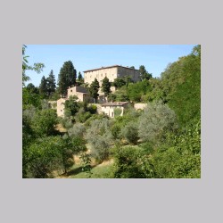 bibbione_dsc02197.jpg