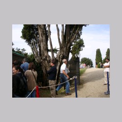 le_corti_2006_dsc04395.jpg