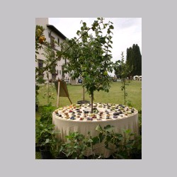 le_corti_2006_dsc04424.jpg