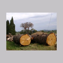 le_corti_2006_dsc04438.jpg
