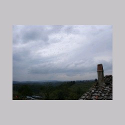 le_corti_2006_dsc04454.jpg