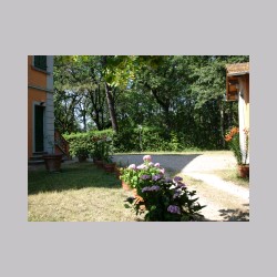 montenisa_fiori_dsc02032.jpg