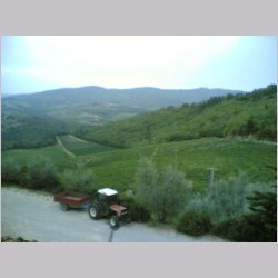 Verrazzano_2006_Foto(289).jpg