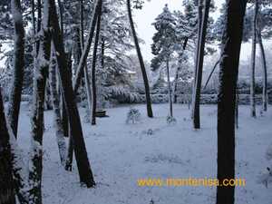 Monte Nisa - Snowfall
