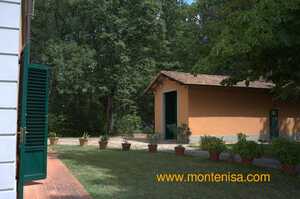 Monte Nisa - Summertime