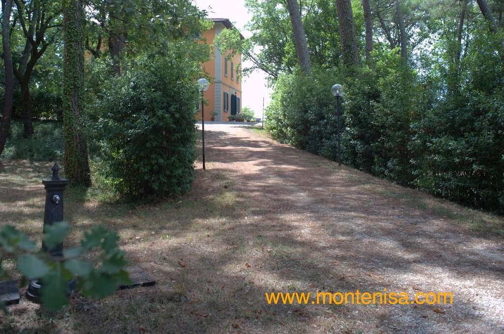Villa Monte Nisa -The main driveway